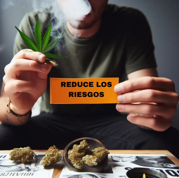 Una persona sentada detras de una mesa con flores de cannabis exhalando humo sosteniendo un cartel que dice reduce los riesgos