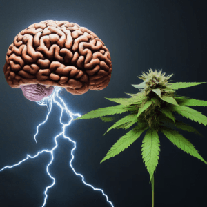 Cannabis y Epilepsia: Esperanza en casos resistentes. un cerebro del que sale un rayo y una flor de cannabis