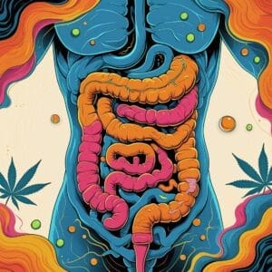 Manejo de la Enfermedad Inflamatoria Intestinal con Cannabis Medicinal ilustración de un sistema digestivo con zonas de inflamación en los intestinos
