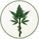 logo institucional del Dr Ricardo Urbina, una vara de esculapio con hojas y una flor de cannabis