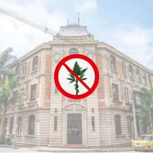¿Formar médicos en cannabis? A la administración actual de la Facultad de Medicina de la UdeA le parece "prescindible" ¿Formar médicos en cannabis? A la administración actual de la Facultad de Medicina de la UdeA le parece "prescindible"