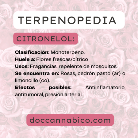 infografía sobre las propiedades del terpeno citronelol cannabis