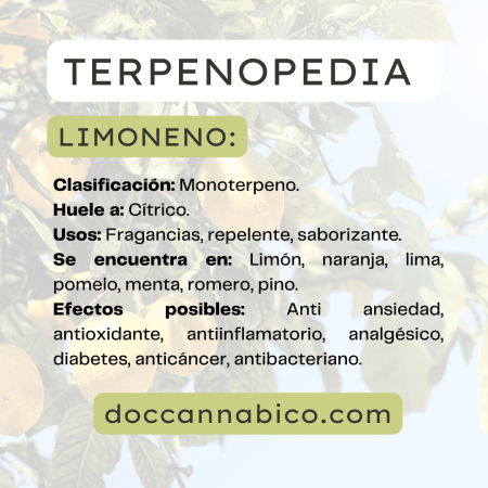 infografía sobre las propiedades del terpeno limoneno cannabis