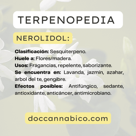 infografía sobre las propiedades del terpeno nerolidol cannabis